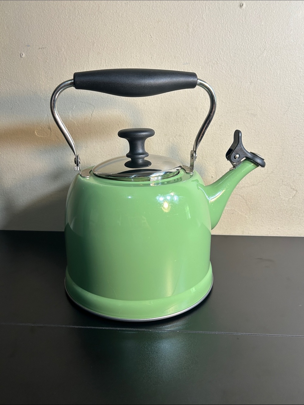Martha Stewart Lily Pond 2.2-quart stainless steel tea kettle in sage green.